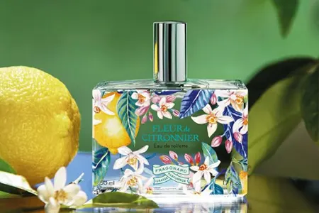 visuel fragonard